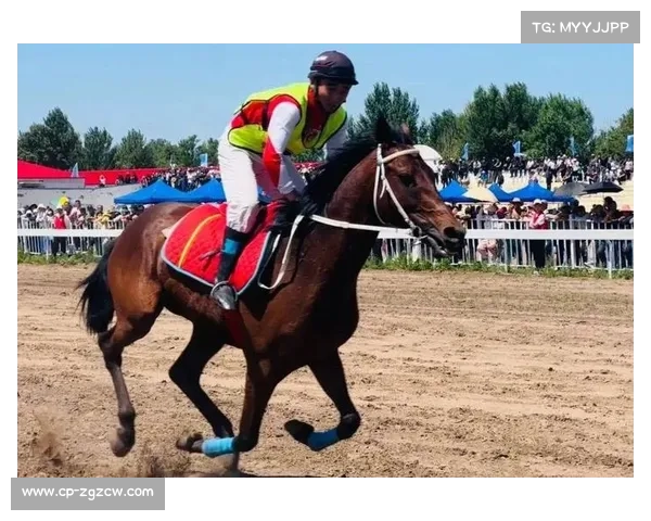 巅峰对决!国内顶级马术赛在邯郸激情开赛 巅峰对决!国内顶级马术赛在邯郸激情开赛