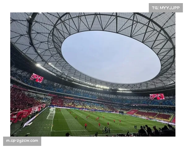 天津津门虎吸引25081球迷 逆境中主场氛围支撑商业价值